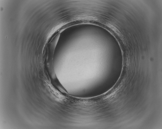 X0000087311022200704271357