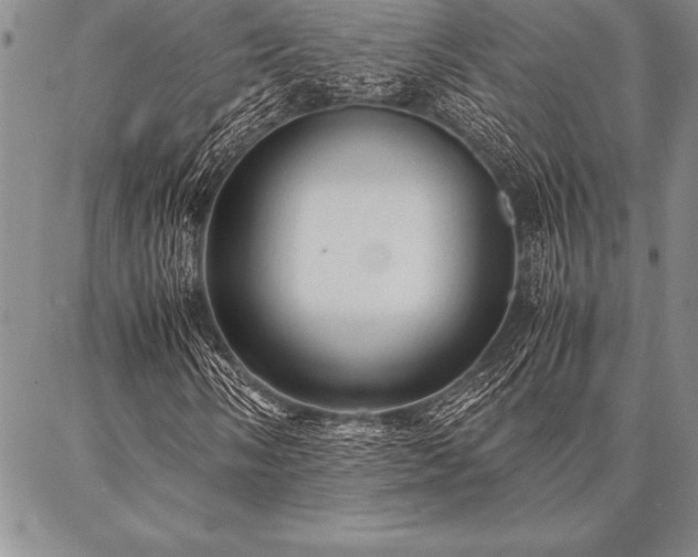 X0000087311058200704271357