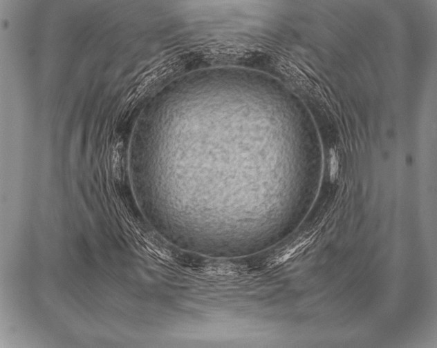 X0000087311059200704271357