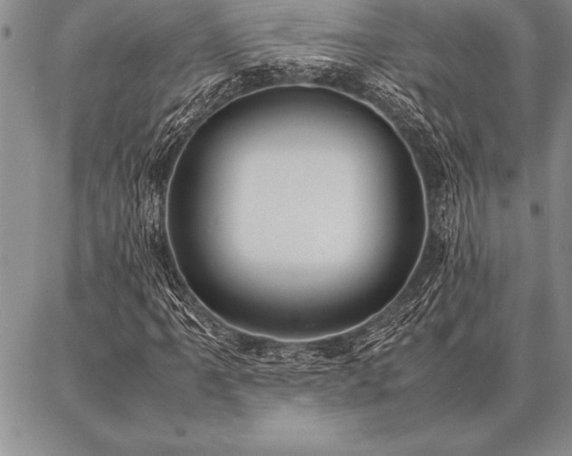 X0000087311061200704271357