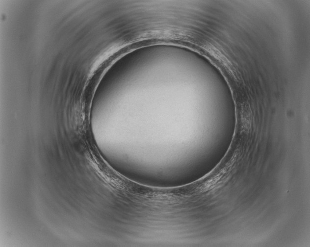X0000087311070200704271357