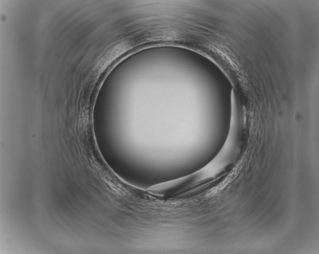 X0000087311073200704271356
