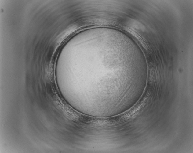 X0000087311074200704271356