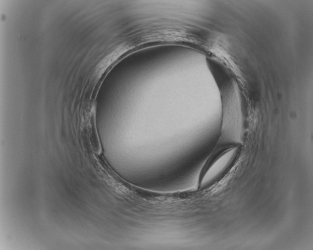 X0000087311081200704271356