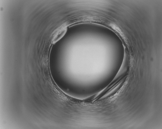 X0000087311089200704271356