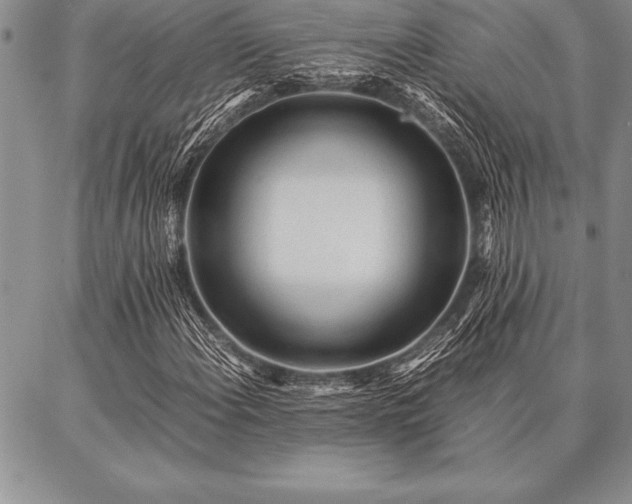 X0000087311108200704271355