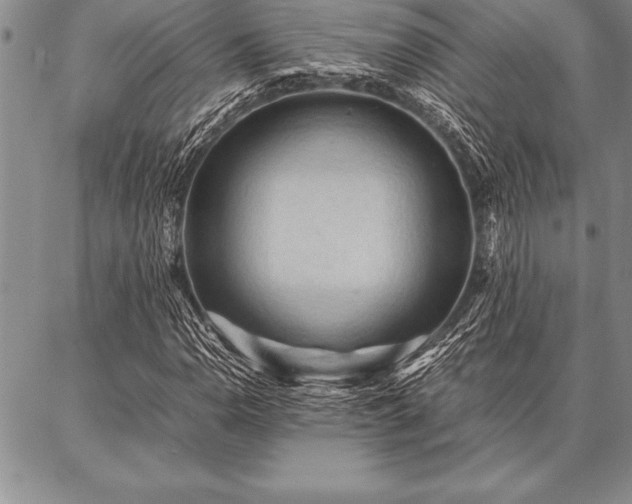 X0000087311110200704271355