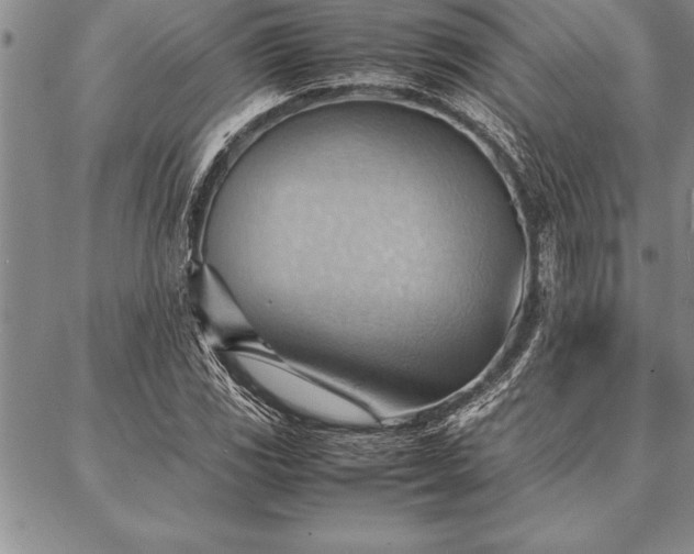 X0000087311117200704271355