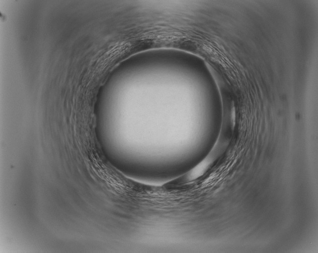 X0000087311153200704271355