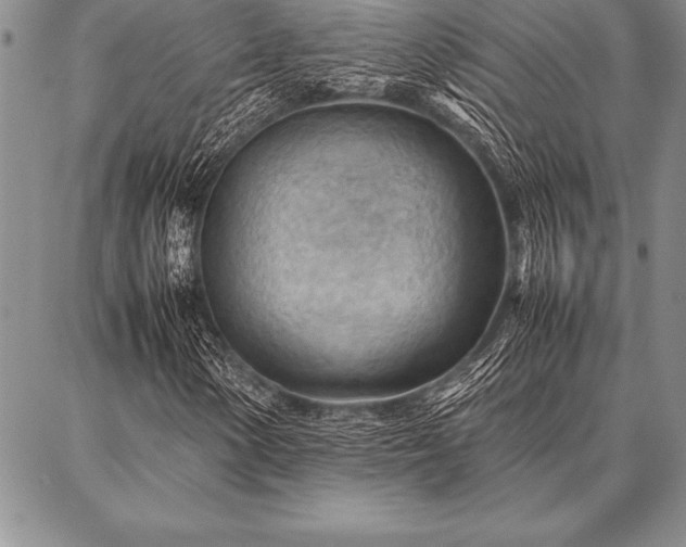 X0000087311154200704271355
