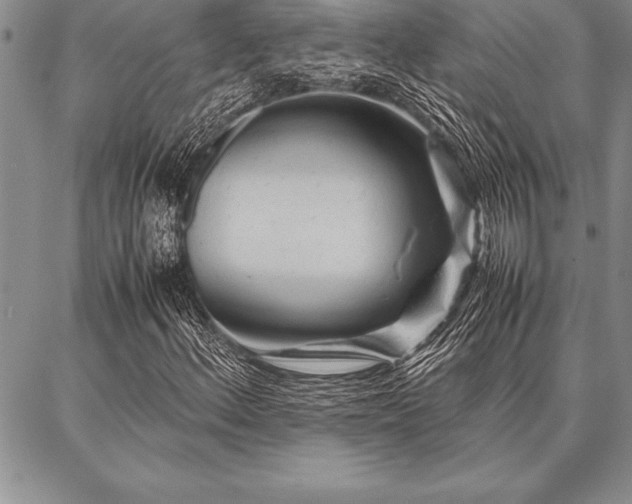 X0000087311156200704271355