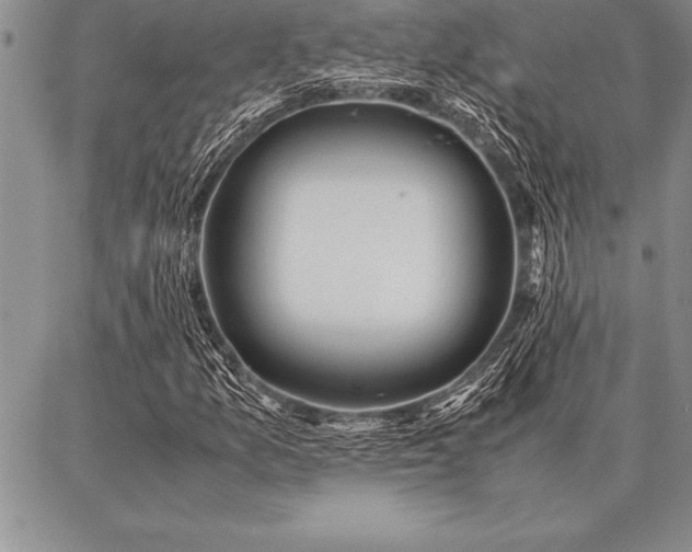 X0000087311157200704271355