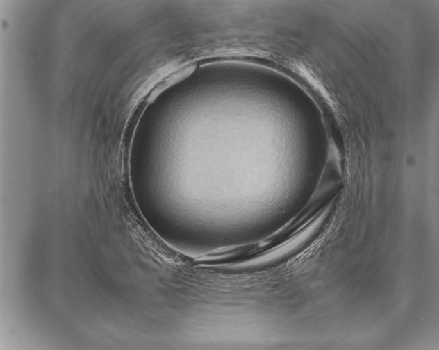 X0000087311173200704271355