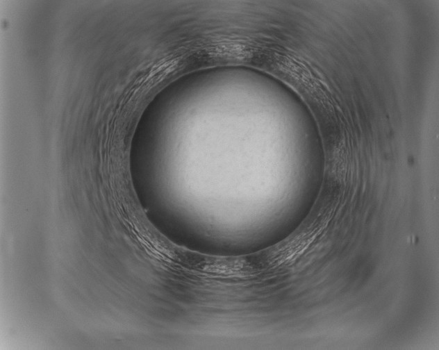 X0000087311201200704271354