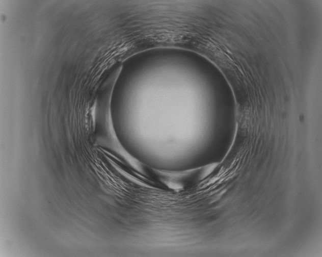 X0000087311202200704271354