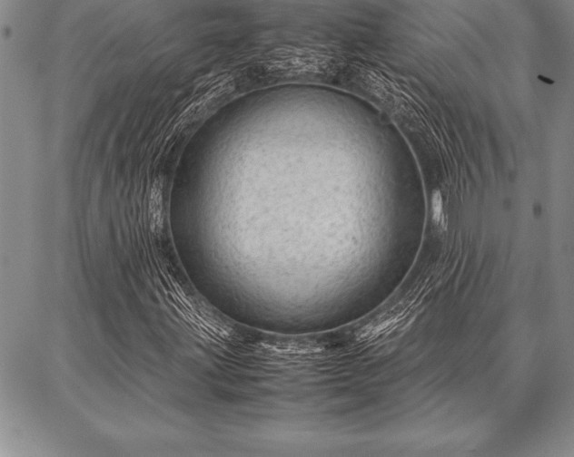 X0000087311203200704271354