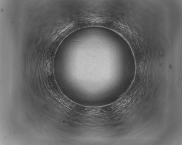 X0000087311205200704271354