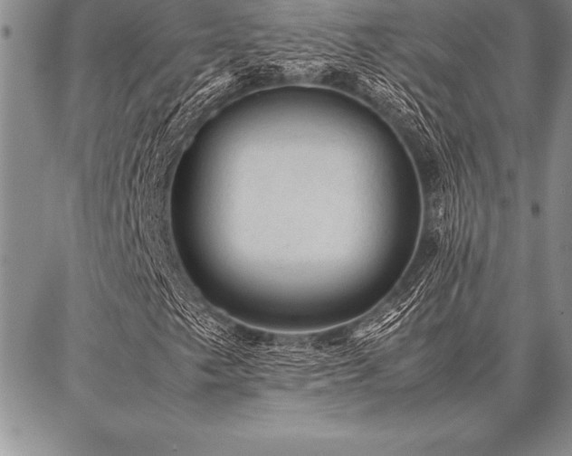 X0000087311249200704271354