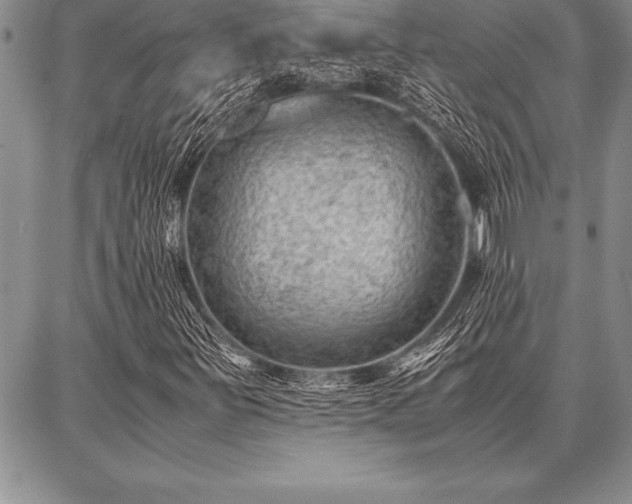X0000087311251200704271354