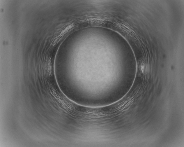 X0000087311252200704271354
