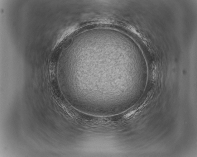 X0000087311255200704271354