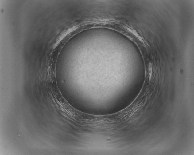 X0000087311256200704271353