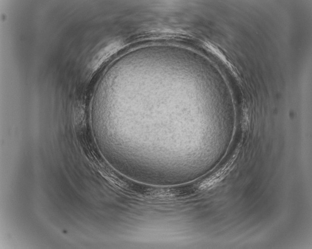X0000087311259200704271353