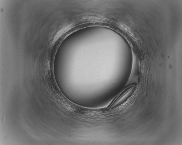 X0000087311261200704271353