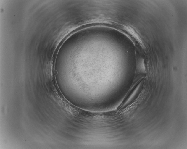 X0000087311268200704271353