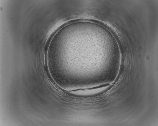 X0000087311271200704271353