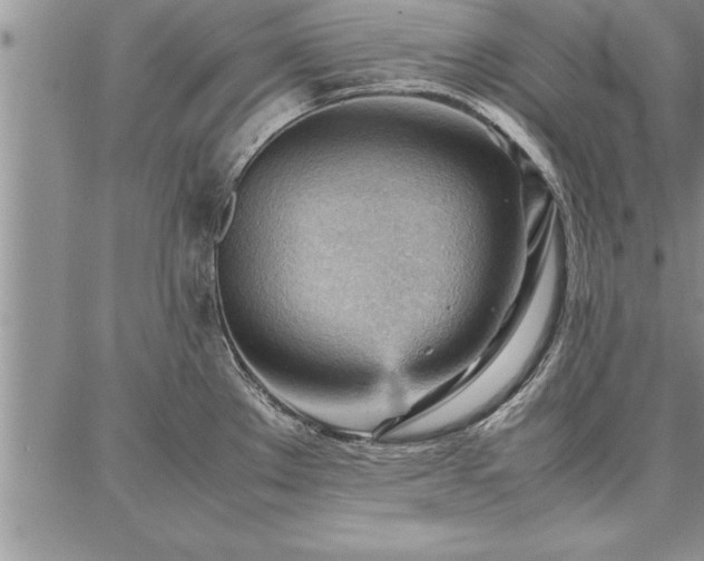X0000087311289200704271353