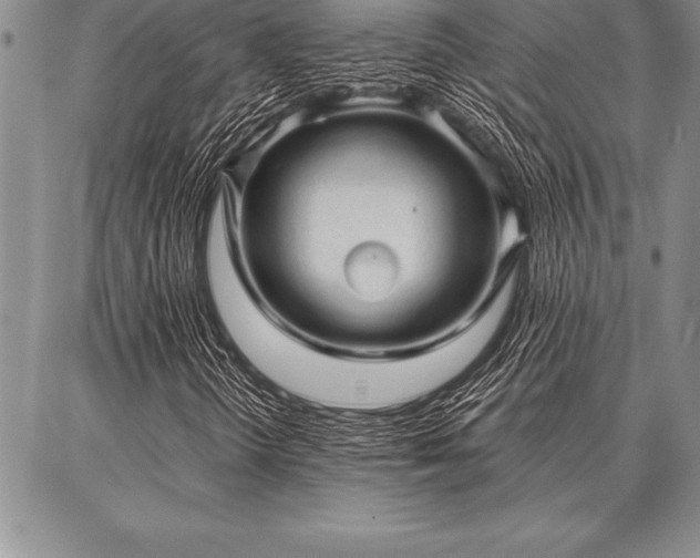 X0000087311298200704271352