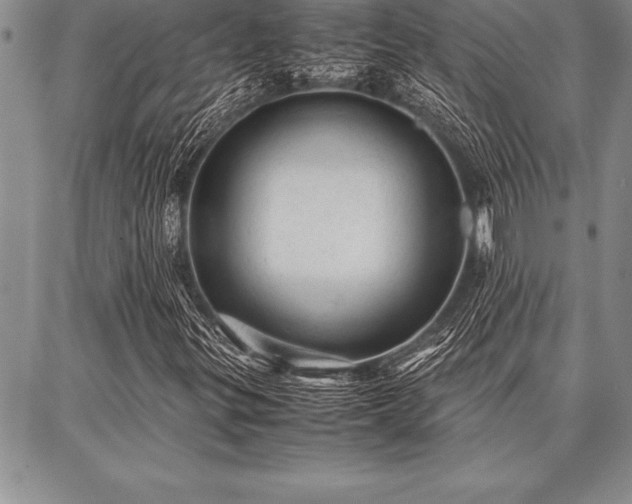 X0000087311299200704271352