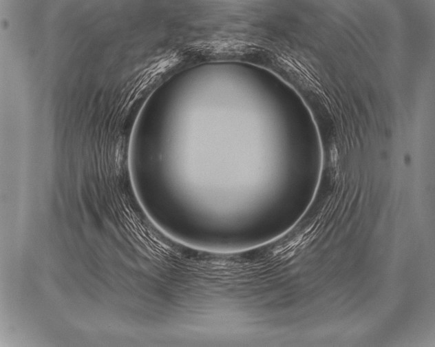 X0000087311300200704271352