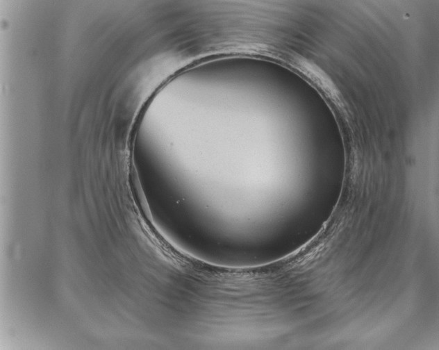 X0000087311332200704271353