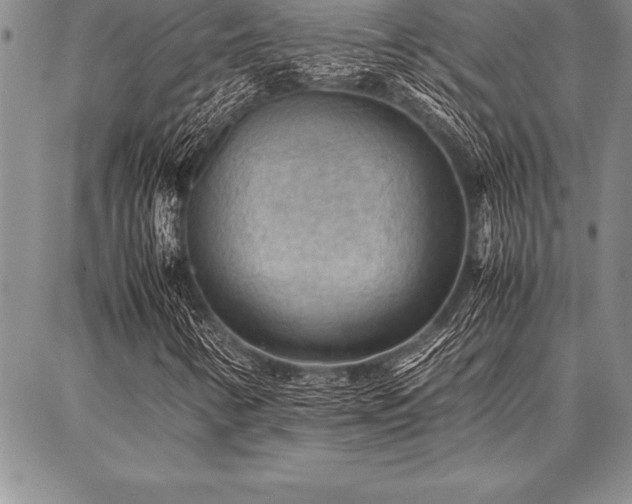X0000087311346200704271352