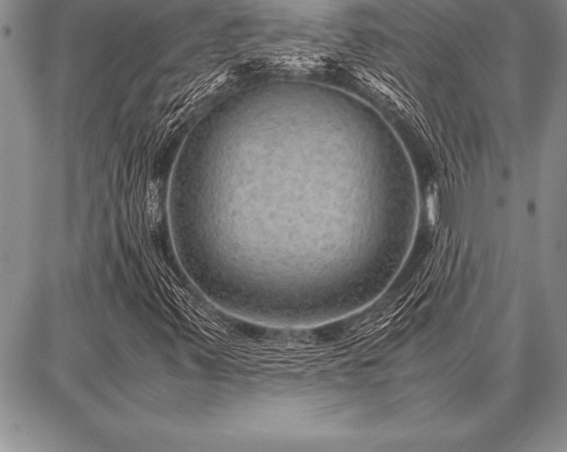 X0000087311347200704271352