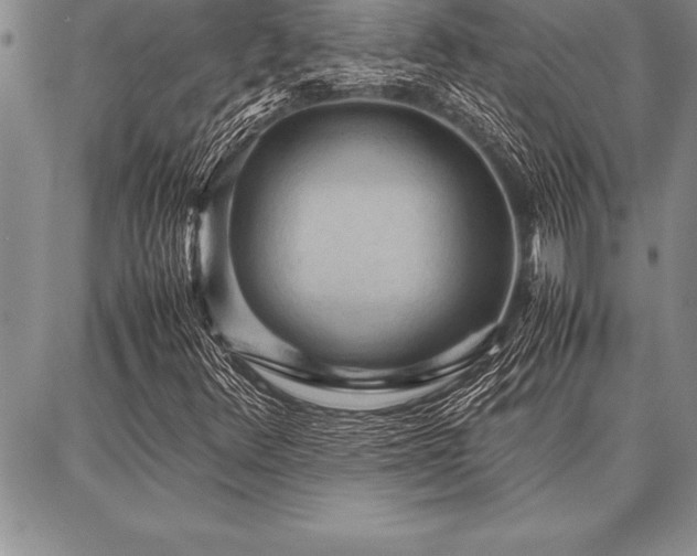 X0000087311348200704271352