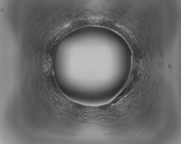 X0000087311349200704271352