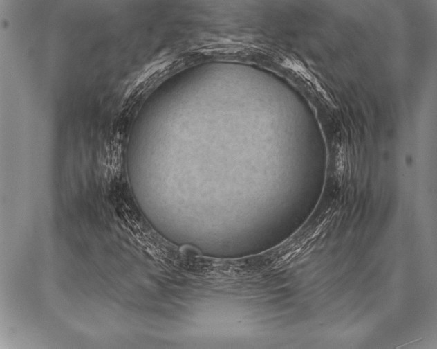 X0000087311350200704271352