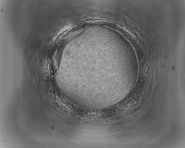 X0000087311351200704271352