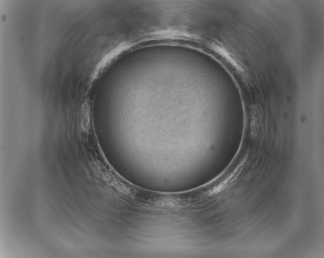 X0000087311358200704271352
