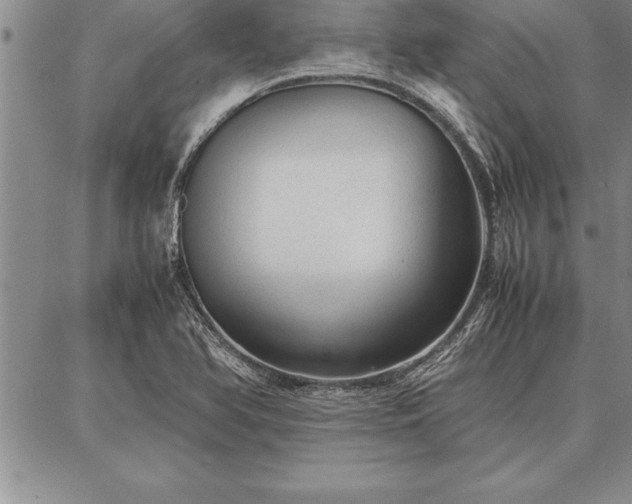 X0000087311366200704271352