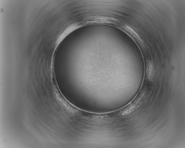 X0000087311378200704271351