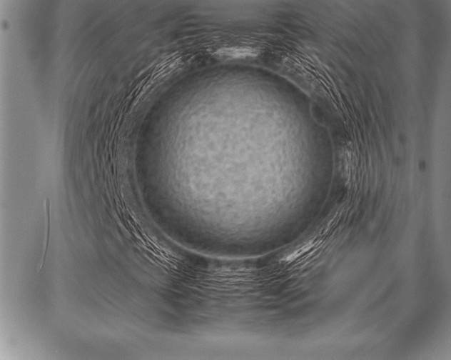 X0000087311393200704271350
