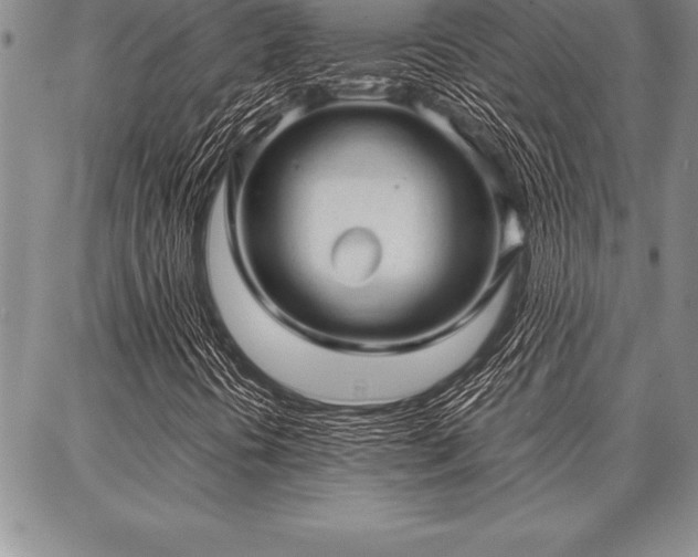X0000087311394200704271351