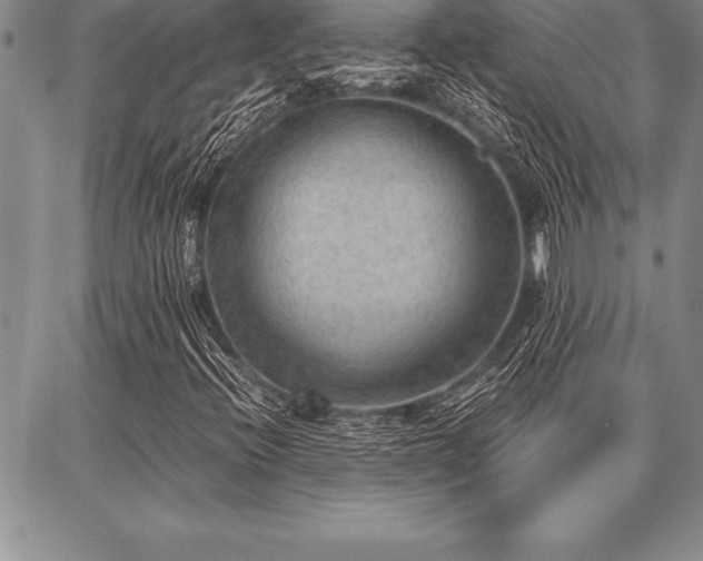 X0000087311396200704271351