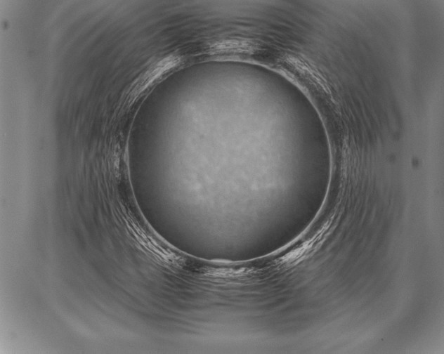 X0000087311401200704271351