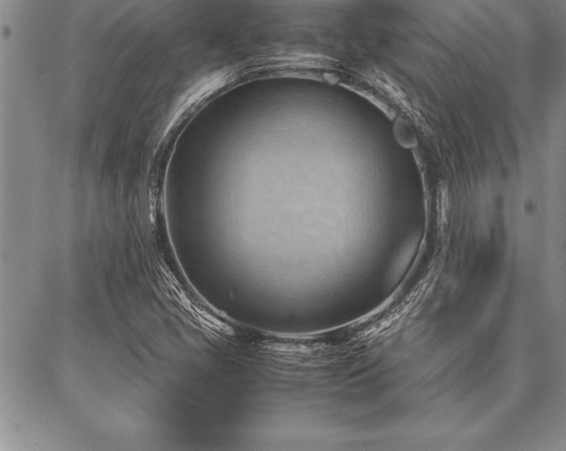 X0000087311405200704271351