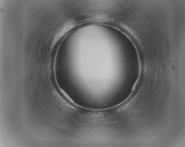 X0000087311410200704271351